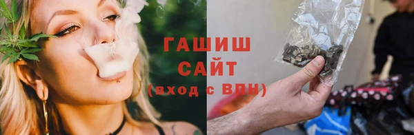 PSILOCYBIN Богородск